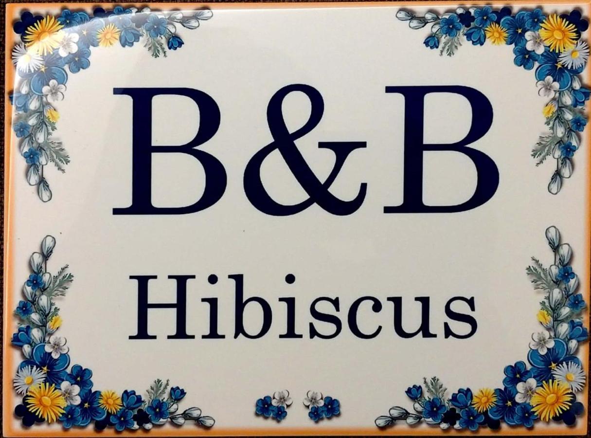 B&B Hibiscus Porto Sant'Elpidio Bagian luar foto